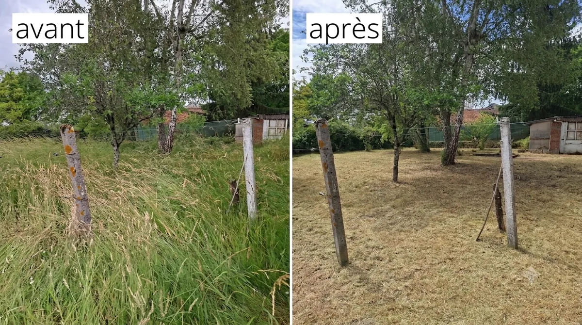 Avant et après le débroussaillage d'un terrain en hautes herbes sous des arbres