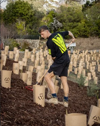 Max, paysagiste, en train de pailler une plantation
